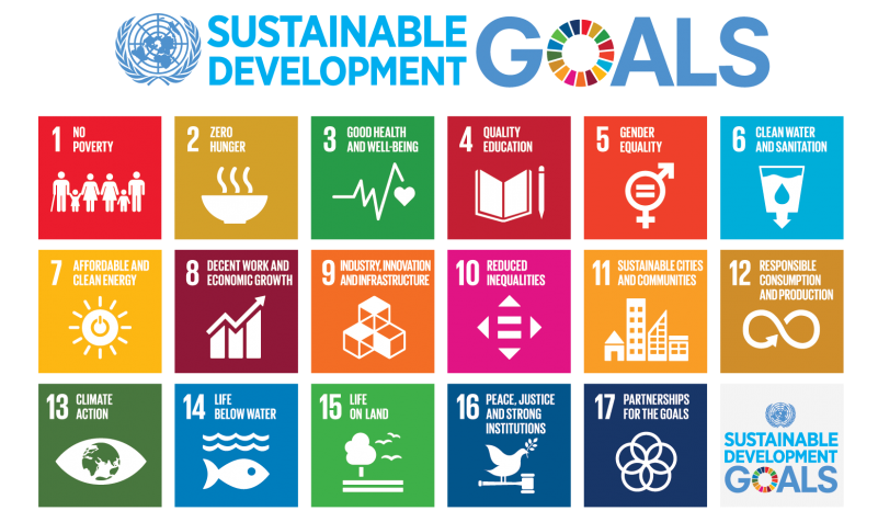 The 17 United Nations Sustainable Development Goals